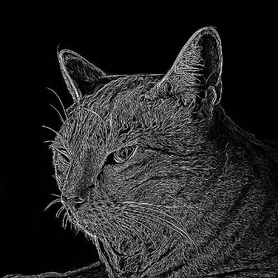 Random Denizen X
DMs open or @kasiamessaging catdog.kas