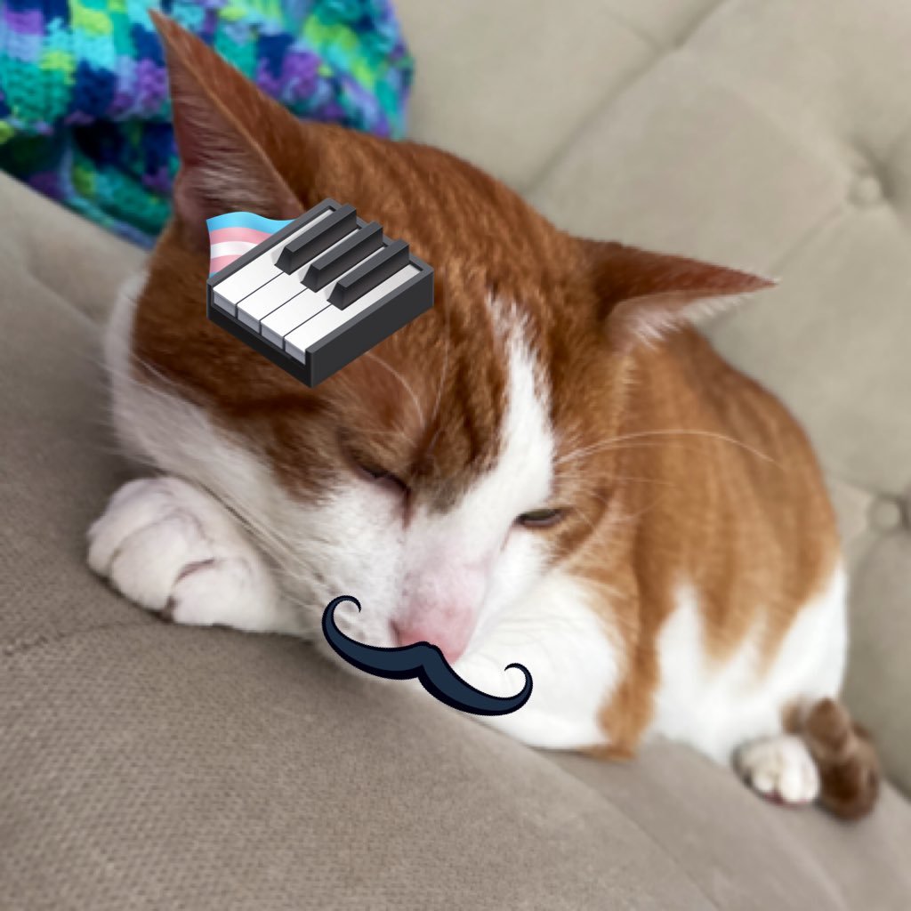 nemesis_primes's profile picture. definitely not autistic or transgender