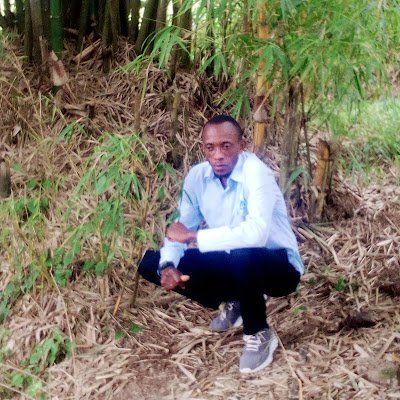 LucGasangwa's profile picture. 