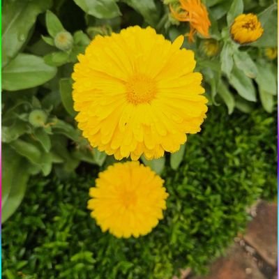 Gaetano41169's profile picture. 