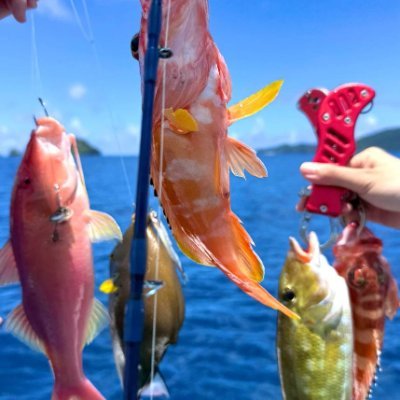 miekot99's profile picture. 🌊🎣 海釣り大好き、ターゲットはサヨリ、サバ、スズキ、タイ、ブリです。
大漁の日もあれば、日焼けだけで終わる日も😂
でも釣れても釣れなくても、海風と楽しさは必ず持ち帰ります🐟✨