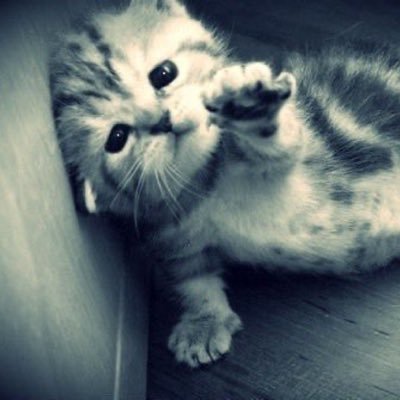 gmaitezzham's profile picture. bangchan te amo