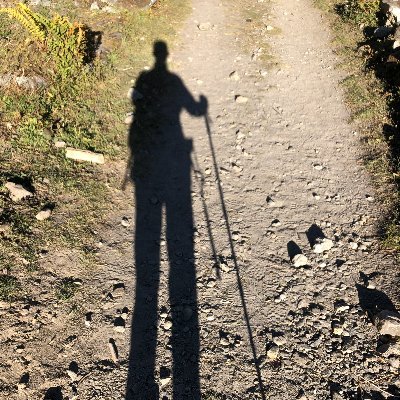 risavpyakurel's profile picture. CS | Backend