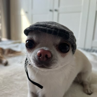 koxyzx's profile picture. 
