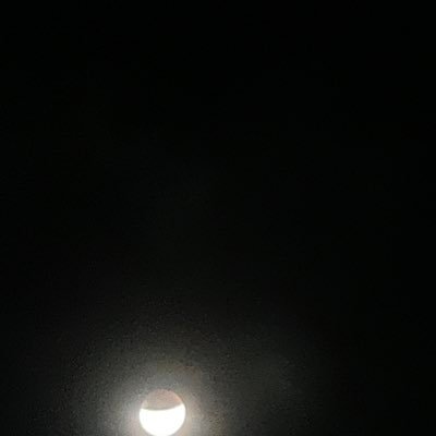 。さんのプロフィール画像