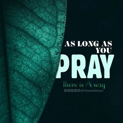 babatunde325053's profile picture. 