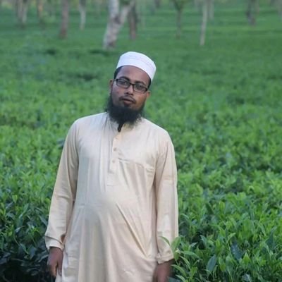 ibrahimbahubal's profile picture. 