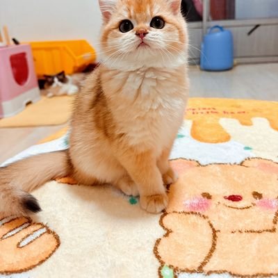 liuyiliuyi61's profile picture. 61