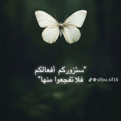 nare32627's profile picture. 