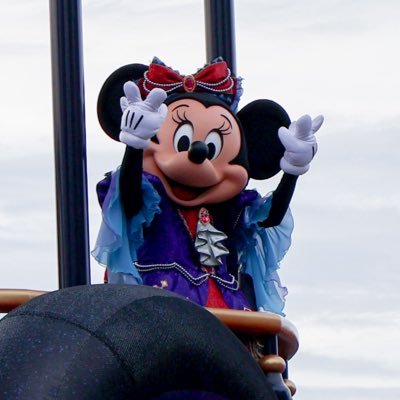 Maruneko_xoxo's profile picture. 01/ミニーちゃん🎀/リーナベル🔍/EOSR50📷