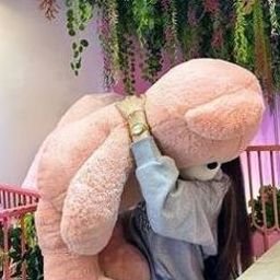 Jakee25151's profile picture. 