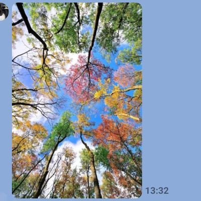 rugby1947's profile picture. 