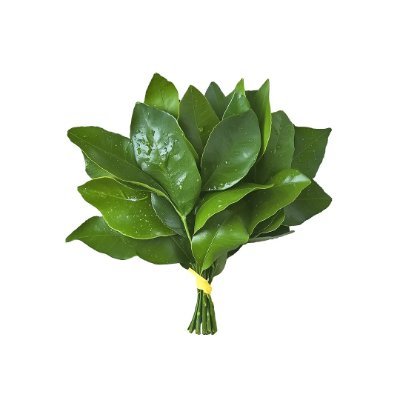 cbwxb82859658's profile picture. 