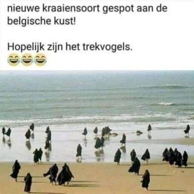 dichtertje12345's profile picture. D1on't try, just do