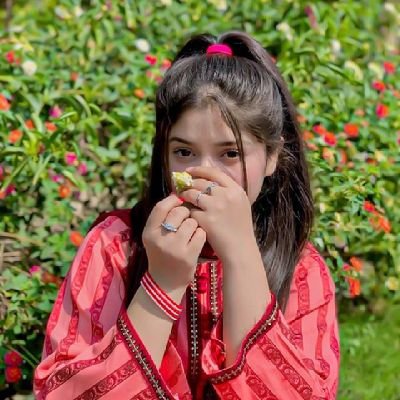 Sania_noor_01's profile picture. خاموشی میری پہچان، باتیں میرا ہنر 🌙🖋️
📒