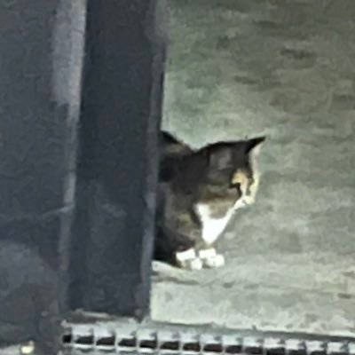 えいちゃんさんのプロフィール画像