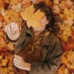 Qalosal4059's profile picture. 