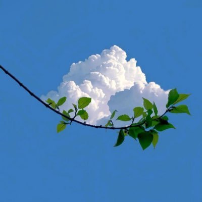 akanda_vibe9's profile picture. Psychology. Spirituality. Science