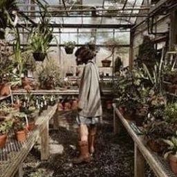 Xorwoob9430001's profile picture. 