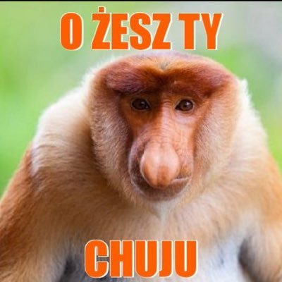 JEZUS PAN I KONFEDERACJĘ https://t.co/kmFj1SqOSS