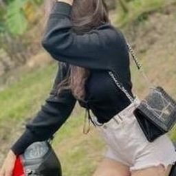 Duifawc382's profile picture. 