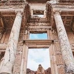 Breacoos19395's profile picture. 