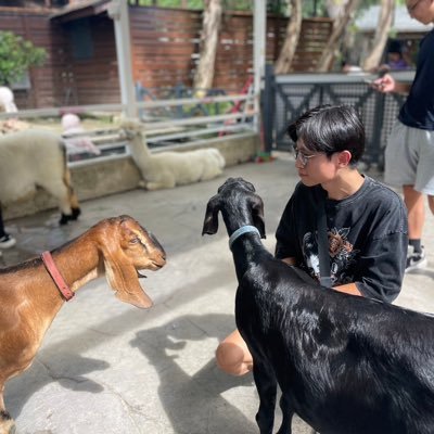 Xiaosu1994's profile picture. 