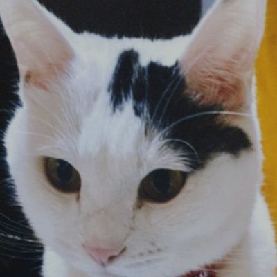gnaYFBKuLN8768's profile picture.