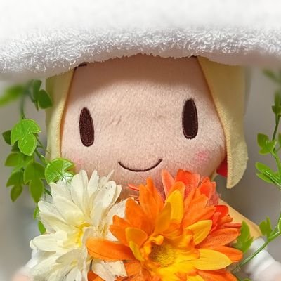 めるぽっぽ～🎺🌸🐏☃️🔫🐥さんのプロフィール画像