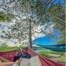 Eelarousu2824's profile picture. 