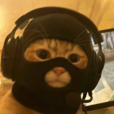 RICARDO_BOMB's profile picture. 🐱야핑하는 고양이
⛑️야핑 하다가 ADHD 걸림 / 하루에 상호 500개