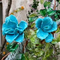 tokko🩵とっこ (@tokko_you72) 's Twitter Profile Photo