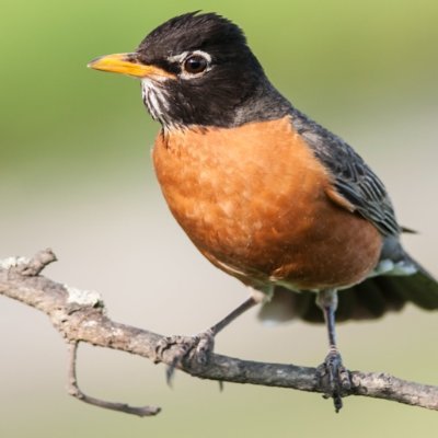 S_pokhreal's profile picture. Gen Z
Earth day मा जन्मेको।