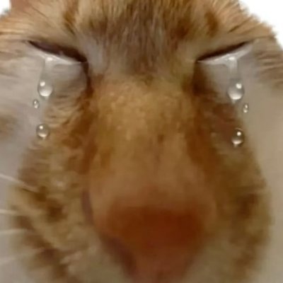 🍒inactive🍒さんのプロフィール画像