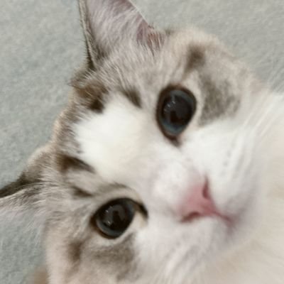 najaemsan_'s profile picture. 잼동