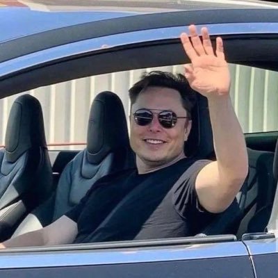 space_musk_fox's profile picture. 