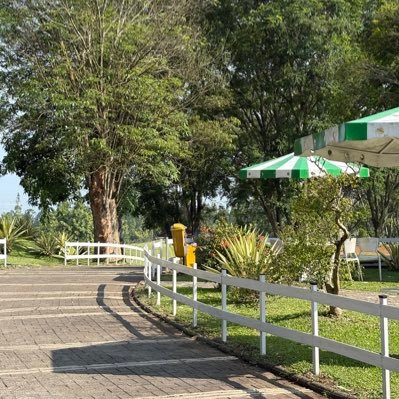 benjifuzz's profile picture. 