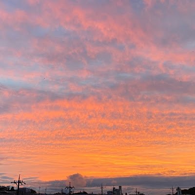 kznakr38's profile picture. 