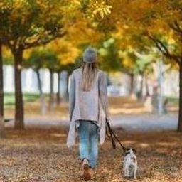 Praogi784's profile picture. 