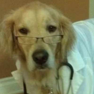 Averno1004's profile picture. 🥰仮面ライダー｜MHW2