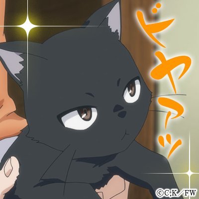 猫のpochiさんのプロフィール画像