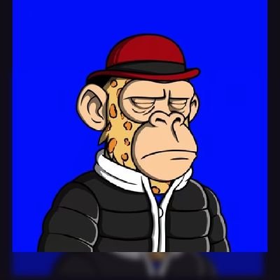 joengor's profile picture. NFTs, WL Chaser, Web3 monger etc.