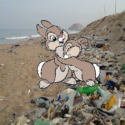 chovelixo's profile picture. 