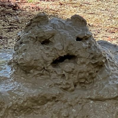 oryo32430xoxo_a's profile picture. ☀️ジーグルーお子のびのび〜〜子育て中！(*´-`)✞* ☺︎𓈒◌ 🏀🍁🐉 #3 @tatsuya_ito3 👑🌺 #77 @ryuryu_str77 永遠推し💎🐬 @imimk30 💘 #キングス🏸🏐。🐦‍🔥⚽️ #28 @JitsukiTsuha #89 @DaiTaka1014