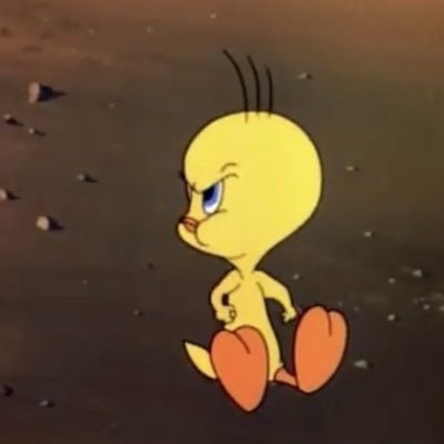 Tukaa_Nader's profile picture. Intern Doctor🩺
