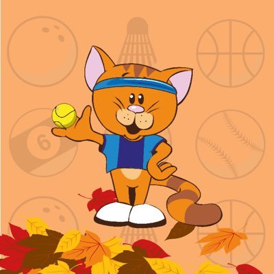 PE/School Sport • Fundamentals (Cool Cats) • Holiday Clubs • Football Masterclass • Birthday Parties