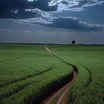 Martada0909's profile picture. 