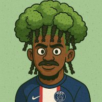 Broccoli Barcola (@broccolibarcola) 's Twitter Profile Photo
