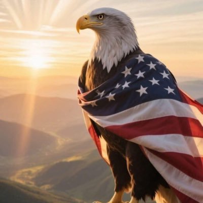 Lightning777JMJ's profile picture. ⚡️🙏🏻🕊️🇺🇸🦅Let’s Begin!! 🚫DM🚫porn