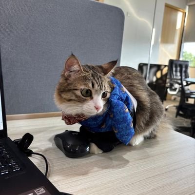 aboqnist's profile picture. I love talking to myself up here and I think I am hilarious